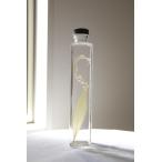 花咲くハーバリウム　デンドロキラム　30