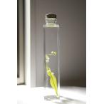 花咲くハーバリウム　ミュゲ　スズラン