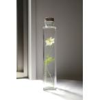 花咲くハーバリウム　ニゲラ　57