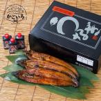 ショッピングうなぎ うなぎ蒲焼（中420g）＜南竹鰻加工＞