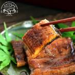 ショッピングうなぎ うなぎ蒲焼真空パック（２切×５Ｐ）＜うなぎの末よし＞