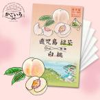  Кагосима чай ароматный чай [ зеленый чай ] белый персик < Satsuma река внутри город туристический предмет производство ассоциация >