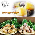  рефрижератор жарение клубень [ еда . сравнение ].. ..* дешево . клубень ( несессер ввод )< жарение клубень специализированный магазин .. дымка >