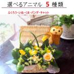 ショッピングアニマル 花 ギフト 誕生日 プレゼント フラワーアレンジ ふくろう いぬ パンダ グリーンフィールド