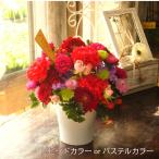 花 プレゼント フラワーアレンジ ビビッドorパステルラウンドアレンジ