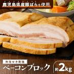  несоленый ... соль бекон блок 2kg [ можно выбрать внутри емкость ] 1kg ~ 3kg ежедневное блюдо общий . свинья бекон . соль .. departure цвет . не использование . форма затонированный Satsuma ветчина Кагосима рекомендация подарок 