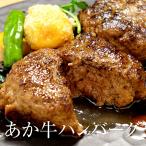 赤牛 あか牛 ハンバーグ 120g × 12個 セット 熊本 お肉 肉 冷凍 高級 国産和牛 和牛 ギフト 送料無料 三協畜産 タビグルメ