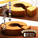 石垣の塩＆ 黒糖バウムクーヘン×各1箱（合計2箱）沖縄 手土産 ギフト お土産 タビグルメ TS-23