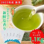 新茶 2024 送料無料 お徳用  お茶 緑茶 茶葉 日本茶 茶問屋のあまくておいしい鹿児島茶 220ｇ×5