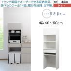 �����W �����܂��� ��40-60cm �L�b�`�� �Ɠd���[ H�^�C�v ���s42cm ����181cm �t���b�v�� �I�[�v�� �䏊 RSD-HD