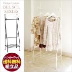 ハンガーラック DS-HS3225S デルソル アイアン 収納棚付 ホワイト ブラック 組立品