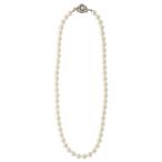 Yahoo! Yahoo!ショッピング(ヤフー ショッピング)ネックレス パール 真珠 ドレス フォーマル 上品 エレガント シンプル 首回り47cm 直径8ミリ 爆買