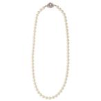 Yahoo! Yahoo!ショッピング(ヤフー ショッピング)ネックレス パール 真珠 ドレス フォーマル 冠婚葬祭 シンプル 首回り52cm 直径8ミリ 爆買