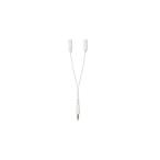 YAZAWA　2分配オーディオコード白　TK01W