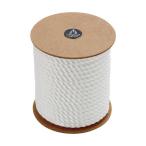 TRUSCO �����ʥ������� 3���ǥ����� ����6mm��Ĺ��30m IZA-630 1��