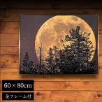  кристалл панель искусственная приманка to panel 60×80cm полный месяц пейзаж золотой рама имеется crystal серебряный . иллюстрации модный ощущение роскоши KH1086