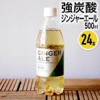 ショッピングお中元 ジュース 純水使用 強炭酸 ジンジャーエール 500ml 24本 まとめ買い ケース買い セット ジュース サイダー ペットボトル お中元 お歳暮 ギフト