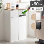 ゴミ箱 分別 2連 ダストボックス ごみ 縦型 ふた付 フタ 蓋 おしゃれ おすすめ キッチンカウンター お洒落 シンプル リビング インテリア 45l リットル