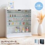 Legen レーゲン コレクションケース 