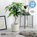 ショッピング家具 Nature ナチュレ 観葉植物 パキラ フェイクグリーン 人工 室内 リビング オフィス 一人暮らし 緑 インテリア 光触媒 空気清浄 消臭 抗菌 防汚