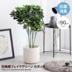 Nature ナチュレ 観葉植物 カポック シェフレラ フェイクグリーン 人工 室内 リビング オフィス 一人暮らし 緑 インテリア 光触媒 空気清浄 消臭 抗菌 防汚