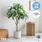 ショッピング観葉植物 Nature ナチュレ 観葉植物 パキラ フェイクグリーン 人工 室内 リビング オフィス 一人暮らし 緑 インテリア インテリアグリーン 光触媒 空気清浄 消臭