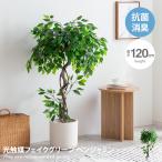 Naturenachure decorative plant Benjamin fake green human work interior living office one person living green interior interior green photocatalyst air cleaning 