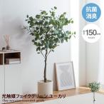 Nature ナチュレ 観葉植物 ユーカリ フェイクグリーン 人工 室内 リビング オフィス 一人暮らし 緑 インテリア 光触媒 空気清浄 消臭 抗菌 防汚