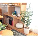 観葉植物 光触媒 造花 オリーブ グリーン 人工植物 消臭 抗菌 防菌 ホルムアルデヒド 植物 人工 タバコ アートフラワー オフィス プレゼント