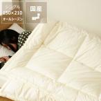 インビスタ社製 オールシーズン用掛け布団 シングルサイズ ※キャンセル不可 ※代引き不可
