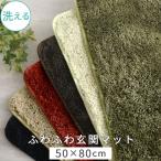 玄関マット室内用 屋内用マット 玄関 おしゃれ おすすめ 送料無料