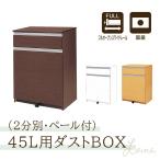 【在庫限り】国産 ダストBOX 2分別 3色対応 45Lフタ付きペール2個付き ごみ箱 ダストボックス ゴミ入れ 完成品 Lvina ルビナ