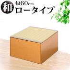 畳ベンチ 横幅60 PP樹脂製畳 畳収納 ロータイプ 藤香 高床式畳収納