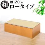 畳ベンチ 横幅120 PP樹脂製畳 畳収納 ロータイプ 藤香 高床式畳収納