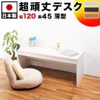 薄型パソコンデスクai-4512 〈ロータイプ〉奥行45幅120高さ44.5 日本製の頑丈パソコンデスク 学習机 学習デスク 机 作業台 送料無料