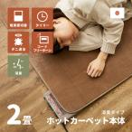 日本製 ホットカーペット 2畳 本体 消臭タイプ 足元暖房 ホットカーペット本体 2畳用 175×175cm