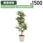 エバーフレッシュ W700 D700 H1500 フェイクグリーン 人工観葉植物 観葉植物 フェイク 造花 観葉樹 衛生的 室内 受注生産 代引不可 法人宛限定 HBY-EVF-15