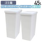 国内メーカー品スライドペール45L2個セットW270D420H605ダスト...