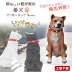 ワンワンリキ 庭 置物 犬 ガーデンオーナメント 吠える 明暗 センサー 感知式 犬型 動物 ワンワン アニマル わんこ 柴犬 防犯センサー