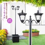 プランター付ソーラーライト 2灯 大きめ 街灯 外灯 ランプ 玄関ライト 防犯 自動点灯 LED ライト 庭 植木鉢 鉢植え