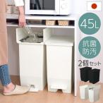 ゴミ箱 45リットル 45L ごみ箱 ダストボックス 2個セット キッチン ペダル式 キャスター付き 蓋 フタ付き おしゃれ 両開き 袋止め 抗菌加工 リス