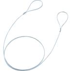 ＳＡＮＷＡ　ｅセキュリティ（ワイヤー、１．０ｍ・２．２ｍｍ）