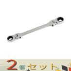 【２個セット】ＳＫ１１ ダブルフレックスロックギアＲ MFR1012R