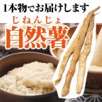  Японский ямс (.....) примерно 1.2kg