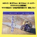 oka рак-отшельник фотоальбом + разведение. основа . понимать книга с картинками + длинный oka рак-отшельник . разведение делать поэтому. справочник [2025 год модифицировано . версия ]