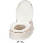 sanitali Ace HG обе для тип 534-113 слоновая кость дешево .a long .. туалет японский стиль . форма .( юридическое лицо sama отправка специализированный магазин )