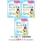 四国紙販売 水のいらない泡なしシャンプー ウェット手袋　３袋セット　メール便対象品　防災 災害 避難所 入院 在宅介護 キャンプ 登山 長期保存 保清