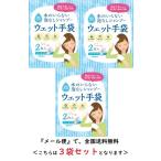 四国紙販売 水のいらない泡なしシャンプー ウェット手袋　３袋セット 【メール便対象品】 防災 災害 避難所 入院 在宅介護 キャンプ 登山 長期保存 保清