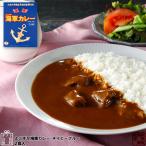 よこすか海軍カレー ネイビーブルー 180ｇ×2食入 中辛 カレー レトルト ご当地 お試し 試食 備蓄 非常食 保存食 防災