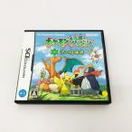 任天堂 【DS】ポケモン不思議のダンジョン 空の探検隊 ニンテンドーDS